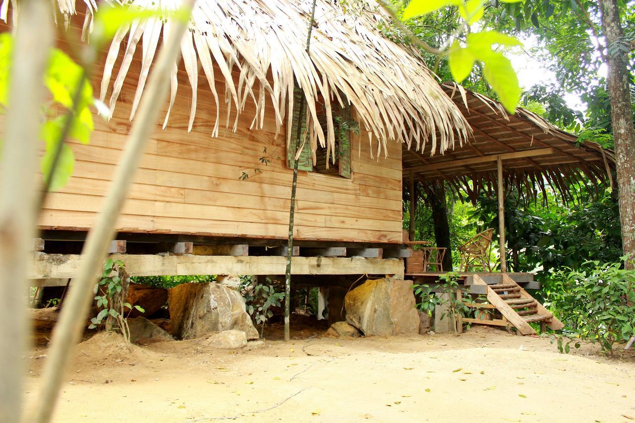 Bedda Eco Cottages دينيايا المظهر الخارجي الصورة