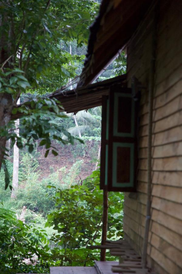 Bedda Eco Cottages دينيايا المظهر الخارجي الصورة