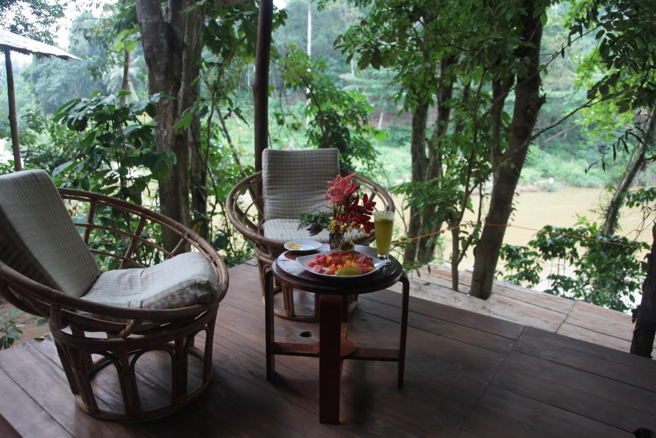 Bedda Eco Cottages دينيايا المظهر الخارجي الصورة