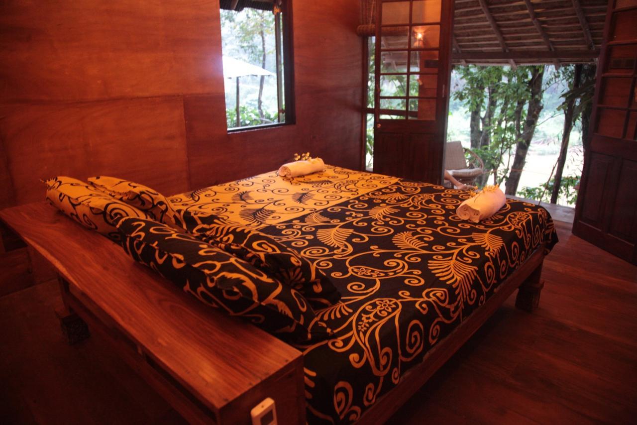 Bedda Eco Cottages دينيايا المظهر الخارجي الصورة